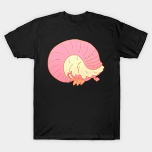 Pink Fairy Armadillo solo 2 T-Shirt